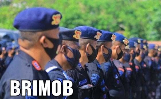 Brimob