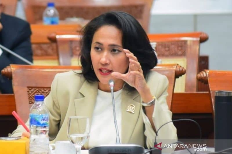 Anggota DPR RI, Christina