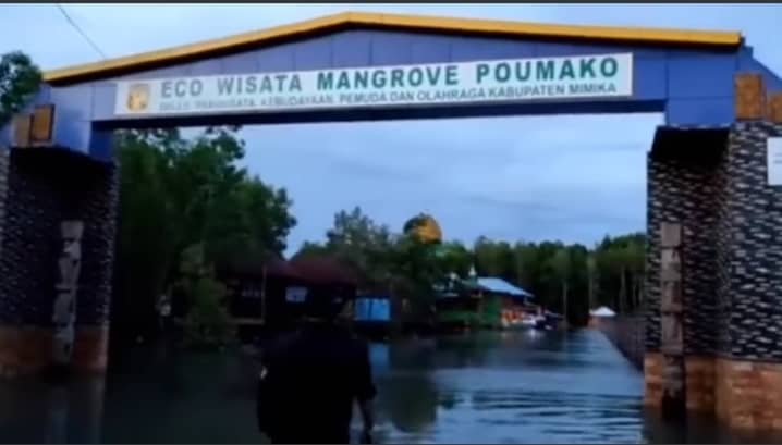 Banjir rob genangi Pomako