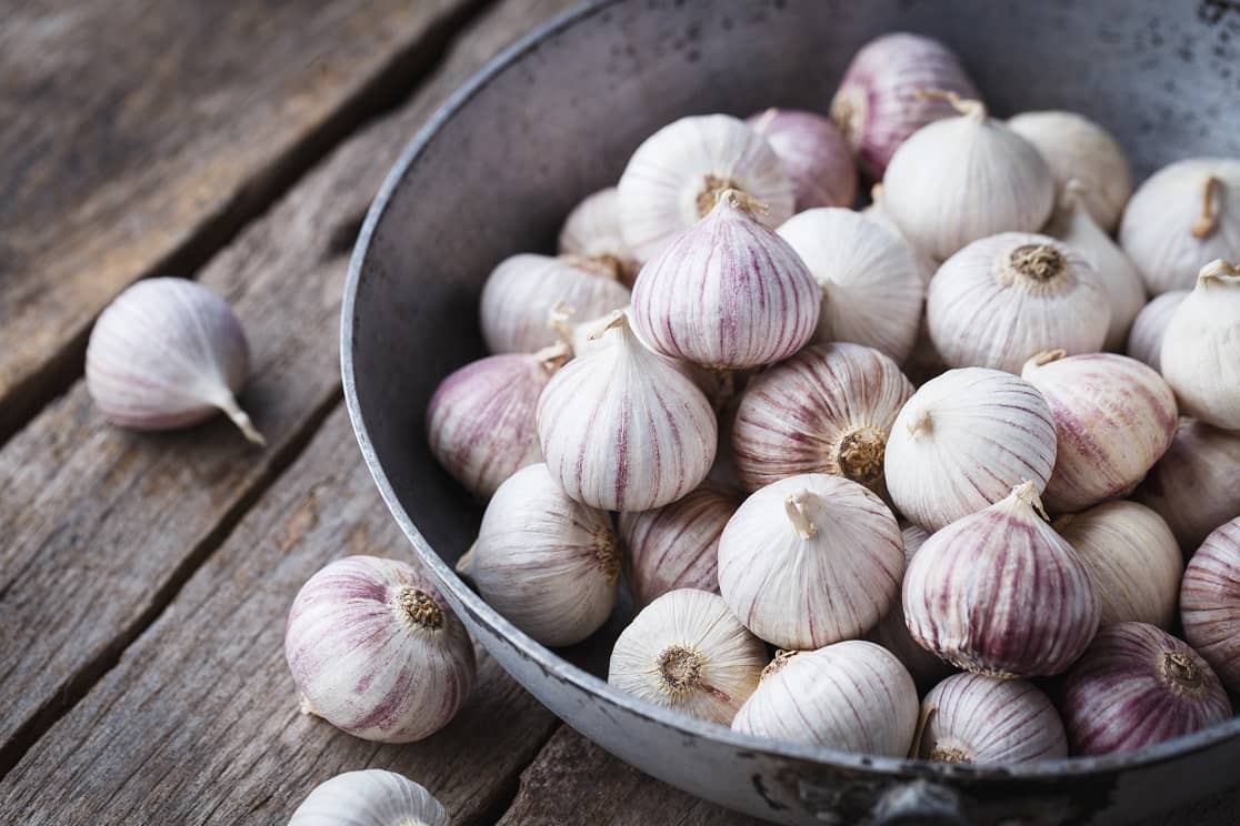 Manfaat bawang lanang