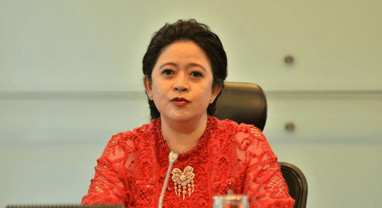 Puan Maharani Fotot Ant