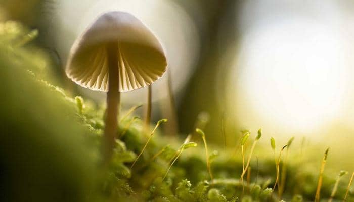 Ilustrasi berita BERITA UTAMA: Mengenal apa itu akun Huobi dan cara membuat/daftar