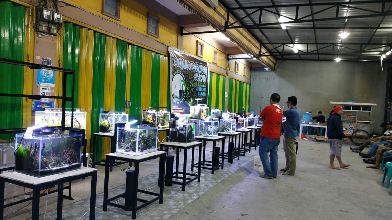 Pameran Aquascape Timika