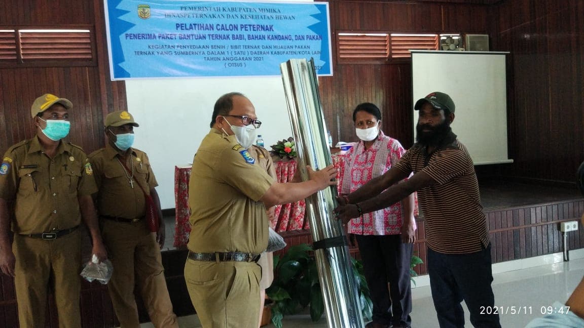 Penyerahan bantuan babi secara simbolis