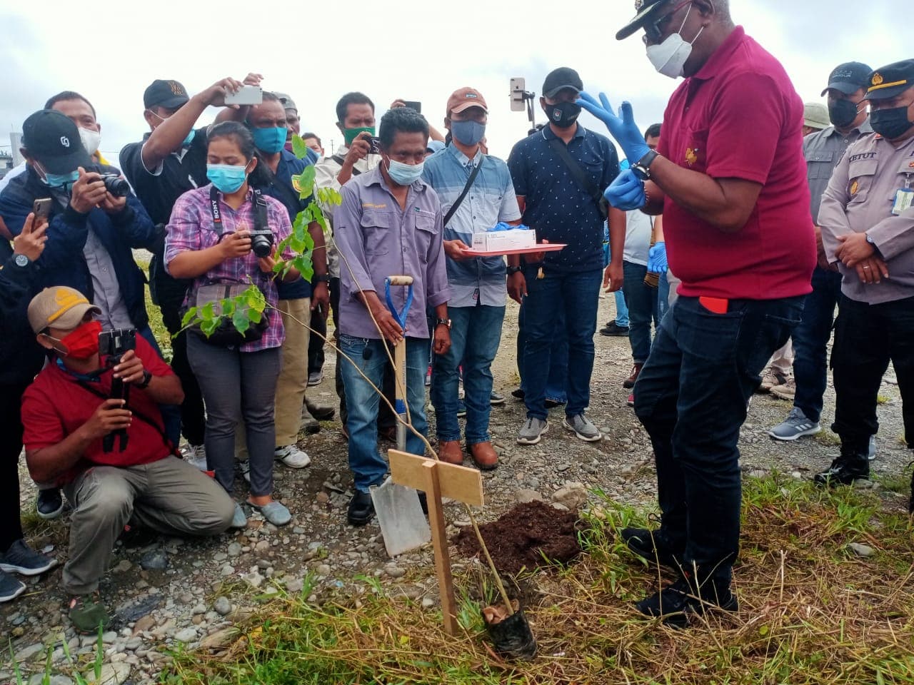 Wakil Bupati Mimika Johannes Rettob sedang menanam pohon.