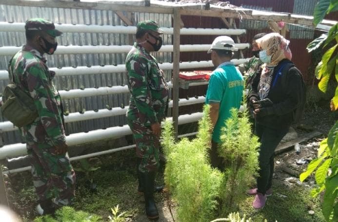 Personel Babinsa Kodim 1710 Mimika Serma Tori S melakukan pendampingan praktik menanam sayuran hidroponik untuk mendukung ketahanan pangan daerah di masa pandemi COVID-19.