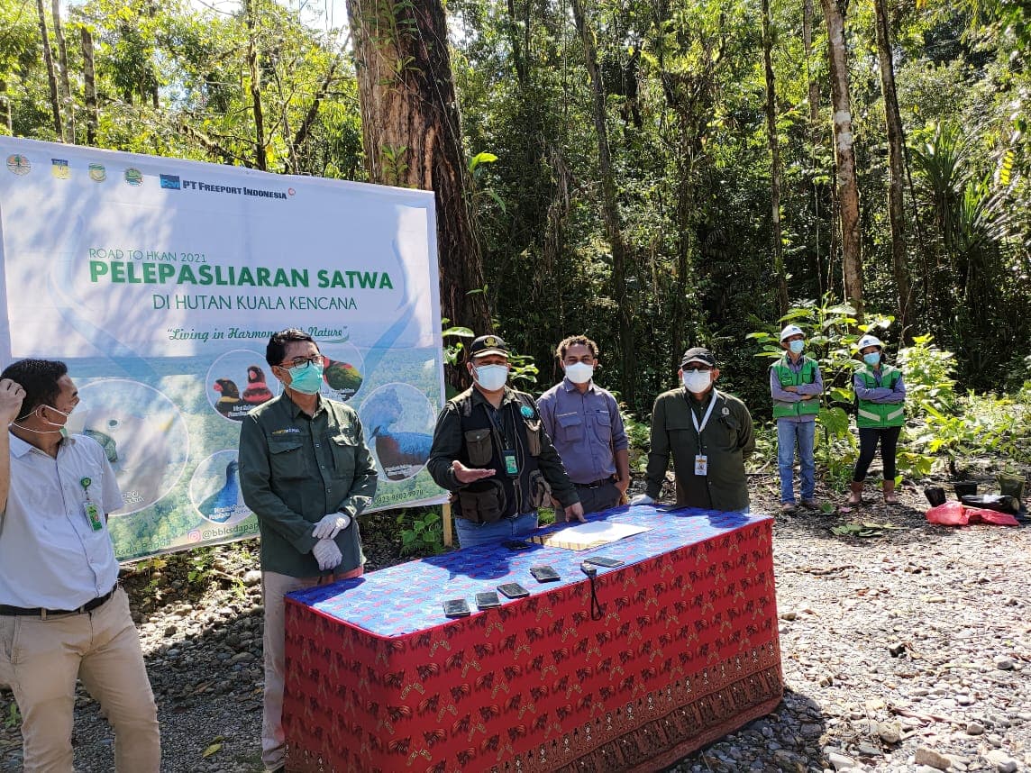 Konferensi pers usai pelepasliaran 17 satwa endemik Papua.