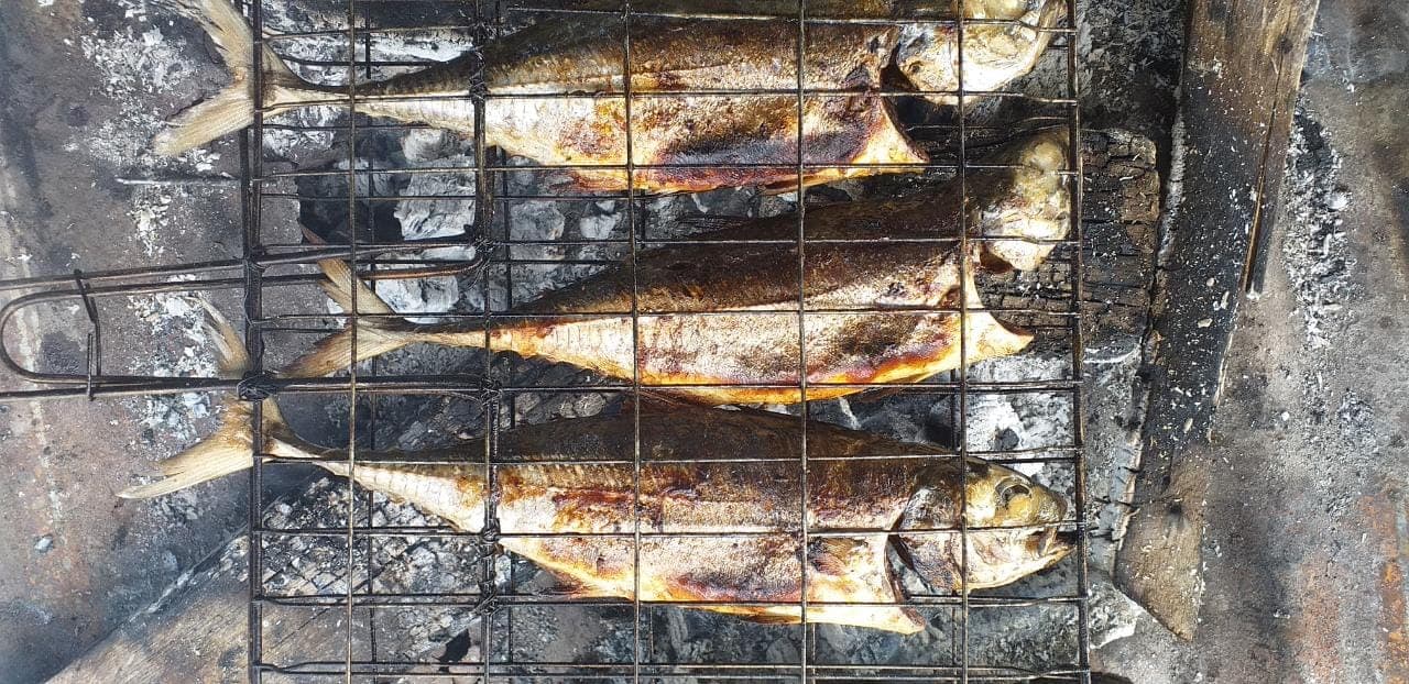 Ikan sangat bermanfaat bagi tubuh.