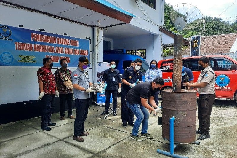 Ganja kering yang dimusnahkan dengan cara dibakar oleh BNNP Papua