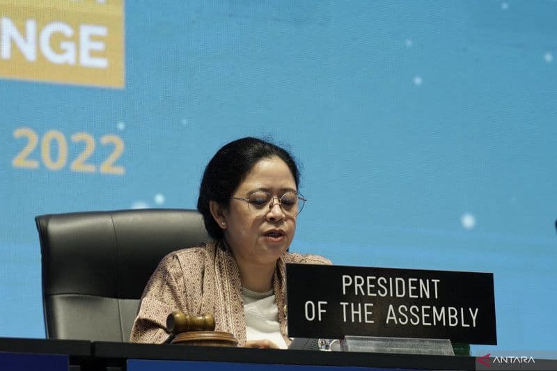Ketua DPR RI Puan Maharani menyampaikan ucapan duka cita kepada parlemen dan masyarakat China atas insiden jatuhnya pesawat maskapai China Eastern Airlines