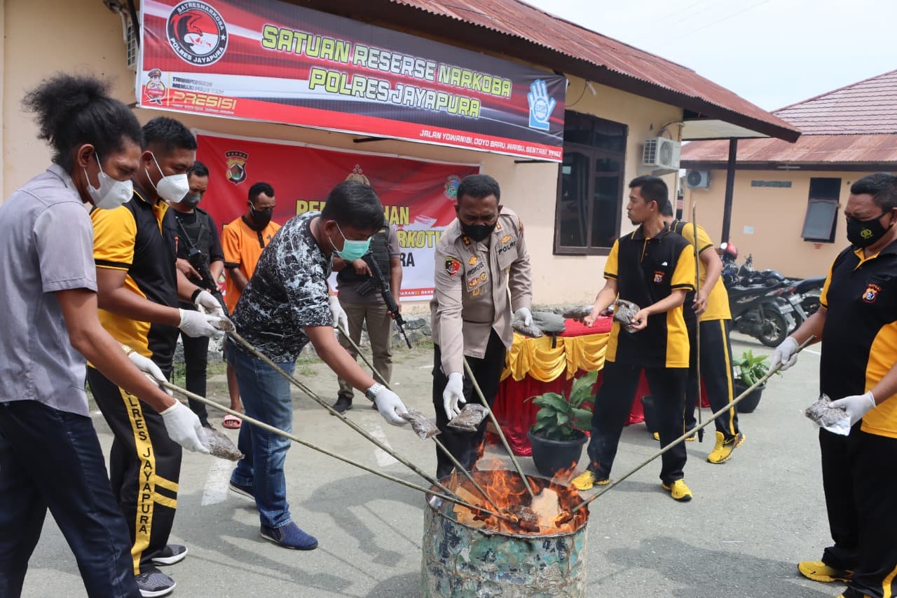 Foto: HSB Terlihat pihak penyidik kepolisian saat memusnahkan ganja.