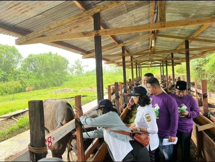 Foto: Dok.PHBI Nampak Kadis Peternakan dan Kesehatan Hewan Kabupaten Mimika, Sabelina Fitriani bersama pengurus organisasi Islam saat meninjau pemeriksaan kesehatan hewan kurban.
