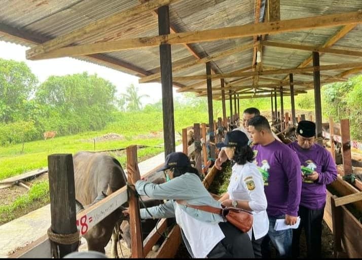 Ilustrasi berita MIMIKA: Sorong Dilarang, Antisipasi Penyebaran PMK Hanya Ternak Asal Tiga Kabupaten Yang Bisa Didatangkan ke Timika