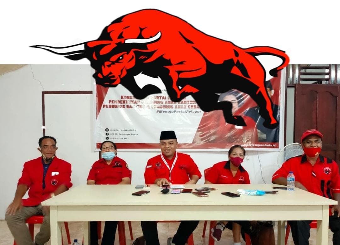 Ilustrasi berita MIMIKA: PDIP Mimika Geram, Pesawat Sengaja Dipolemikkan Oknum Tertentu, Alfian: Padahal Semuanya Sudah Jelas