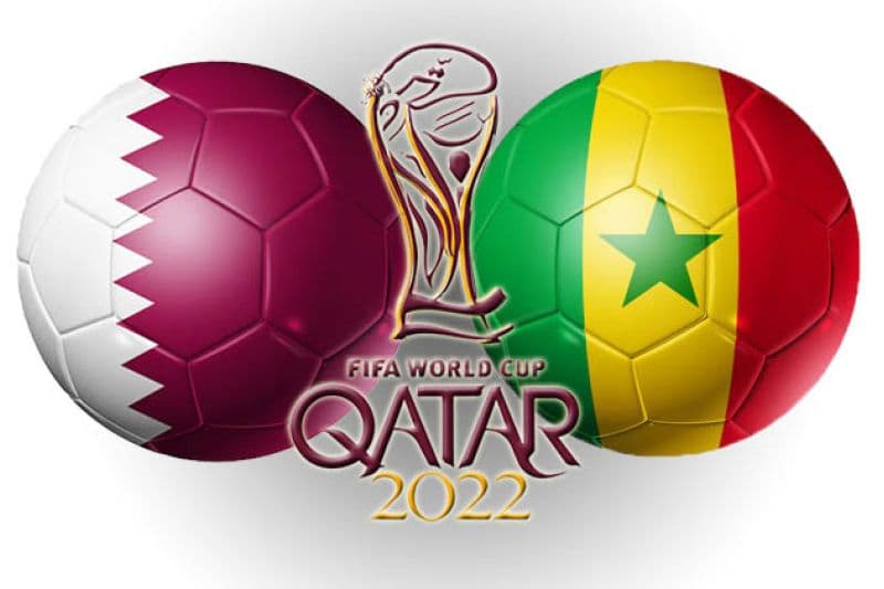 qatar vs senegal