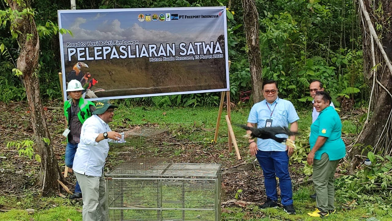 Ilustrasi berita MIMIKA: Peringati Hari Bhakti Rimbawan, BBKSDA Papua Didukung Freeport Lepas Liarkan 20 Satwa di Hutan Kuala Kencana