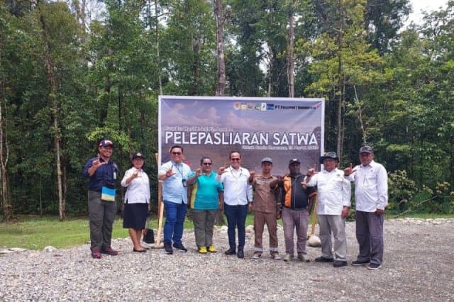 Ilustrasi berita MIMIKA: BBKSDA Papua Melepasliarkan 20 Satwa Dilindungi di Hutan Kuala Kencana