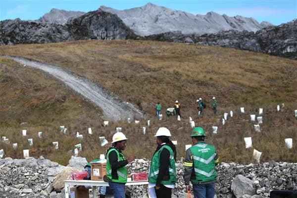Ilustrasi berita MIMIKA: Aksi Penghijauan di Grasberg Awali Rangkaian Peringatan Hari Lingkungan Hidup 2024 di Kabupaten Mimika