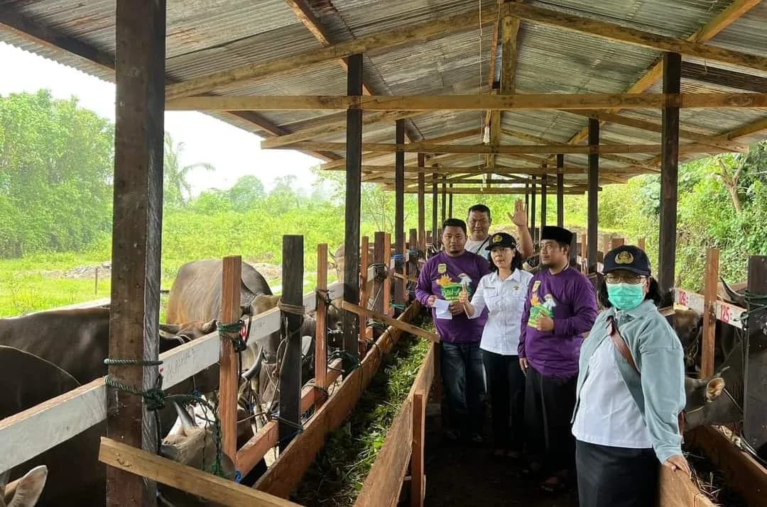 Ilustrasi berita MIMIKA: Disnakkeswan Mimika Pastikan Kesehatan 200 Ekor Sapi dan 260 Ekor Kambing untuk Idul Adha 1445 H