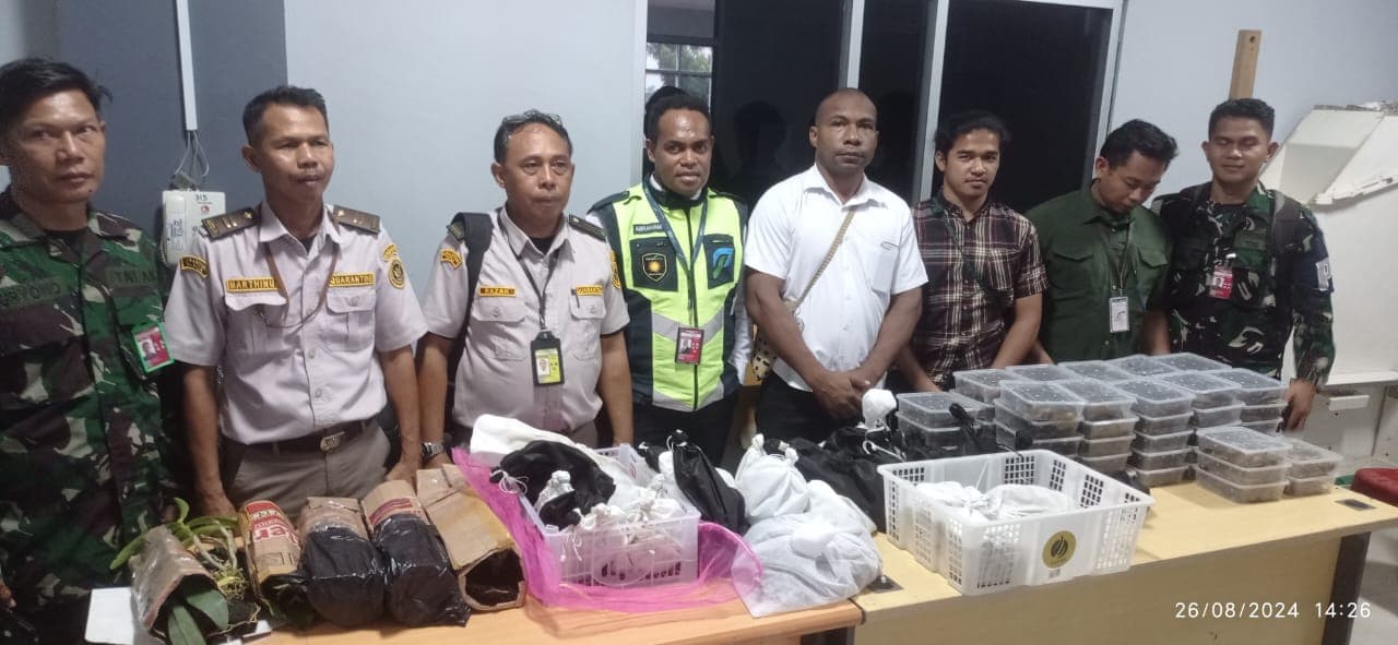 Sejumlah satwa liar yang diamankan petugas bandara