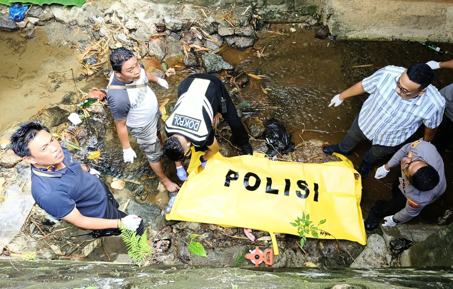 IMG-20251224-WA0213