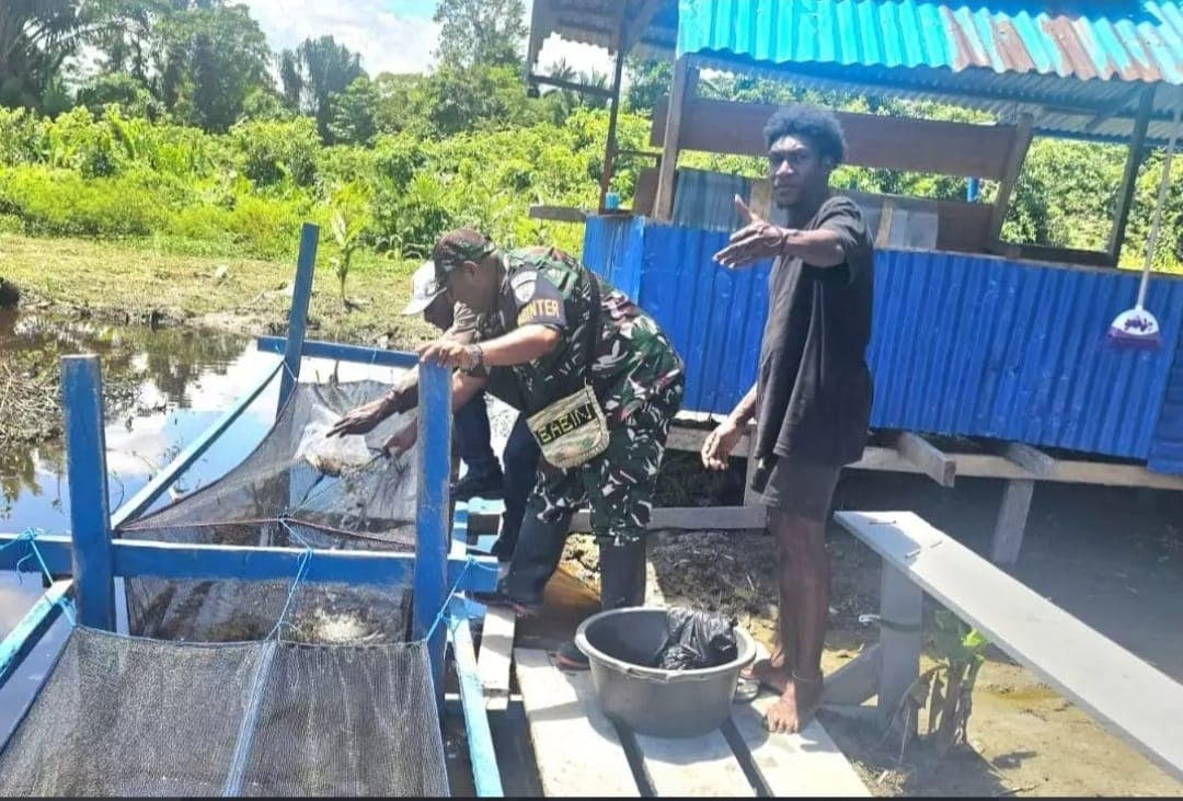 Ilustrasi berita MIMIKA: Lanud Yohanis Kapiyau Tebar 1.000 Benih Lele di Kampung Nawaripi, Dukung Ketahanan Pangan di Mimika