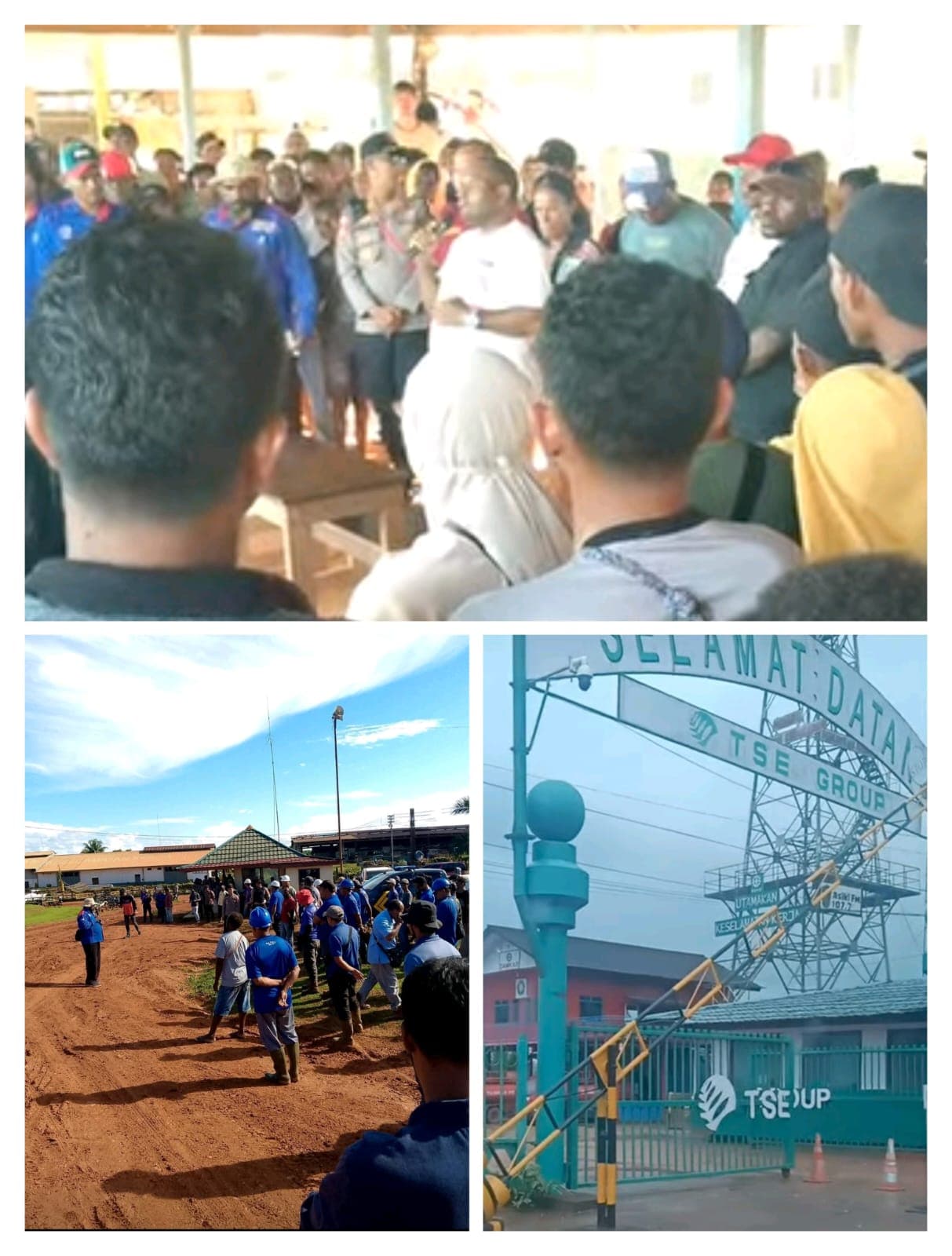 Ilustrasi berita PAPUA: Masyarakat Adat Palang Kantor PT TSE A Camp 19, Bupati Roni Omba: Kedua Pihak Bertahan pada Prinsip