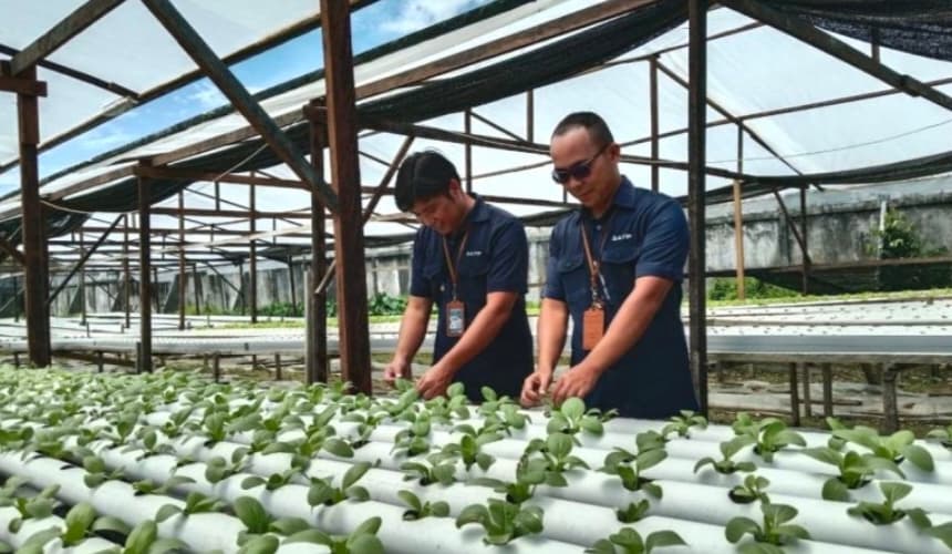 Ilustrasi berita MIMIKA: SATP Terapkan Pembelajaran Sains Berbasis Edupreneur Hidroponik