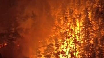 Ilustrasi berita INTERNASIONAL: Kebakaran Hutan di Iwate Jepang Picu Pengungsian 1.800 Warga