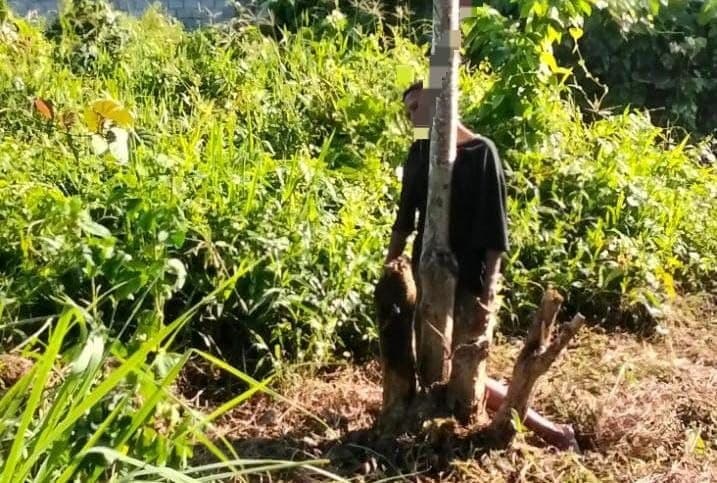 Ilustrasi berita MIMIKA: Jenazah Berliana Mipayau yang Ditemukan Tergantung di Pohon Belakang Kalam Kudus Nawaripi Dievakuasi ke RSUD Mimika