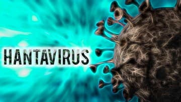 Ilustrasi berita INTERNASIONAL: Penumpang Kapal MV Hondius Jalani Karantina di Taiwan Akibat Wabah Hantavirus