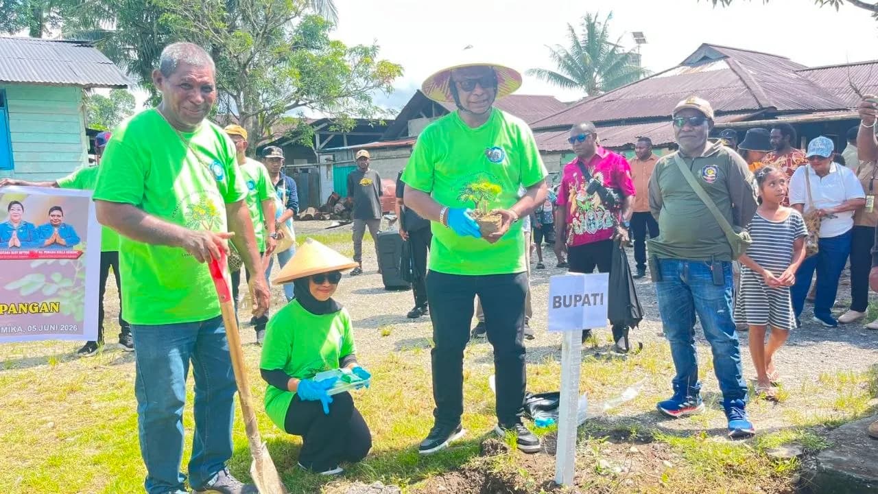 Ilustrasi berita Mimika: Dibuka Bupati, TP-PKK Mimika Tanam 400 Pohon Kelor di Kampung Nawaripi