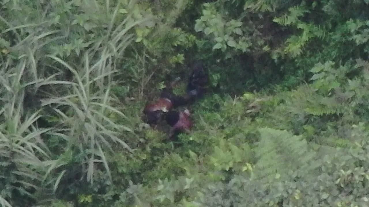 Ilustrasi berita Mimika: Pelaku Penembakan WNA di Kuala Kencana 'Dilumpuhkan' di Tembagapura, Satgas : Diselamatkan Kelompoknya ke Dalam Hutan