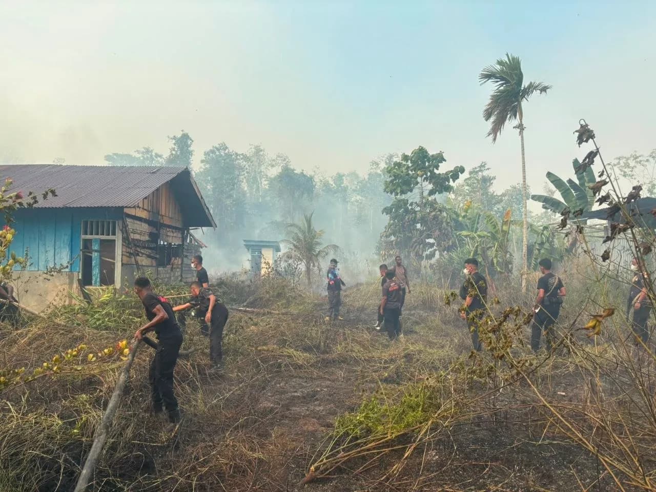 Ilustrasi berita Papua Tengah: Polda Papua Tengah Kirim Tim Padamkan Kebakaran Hutan di Nabire Barat