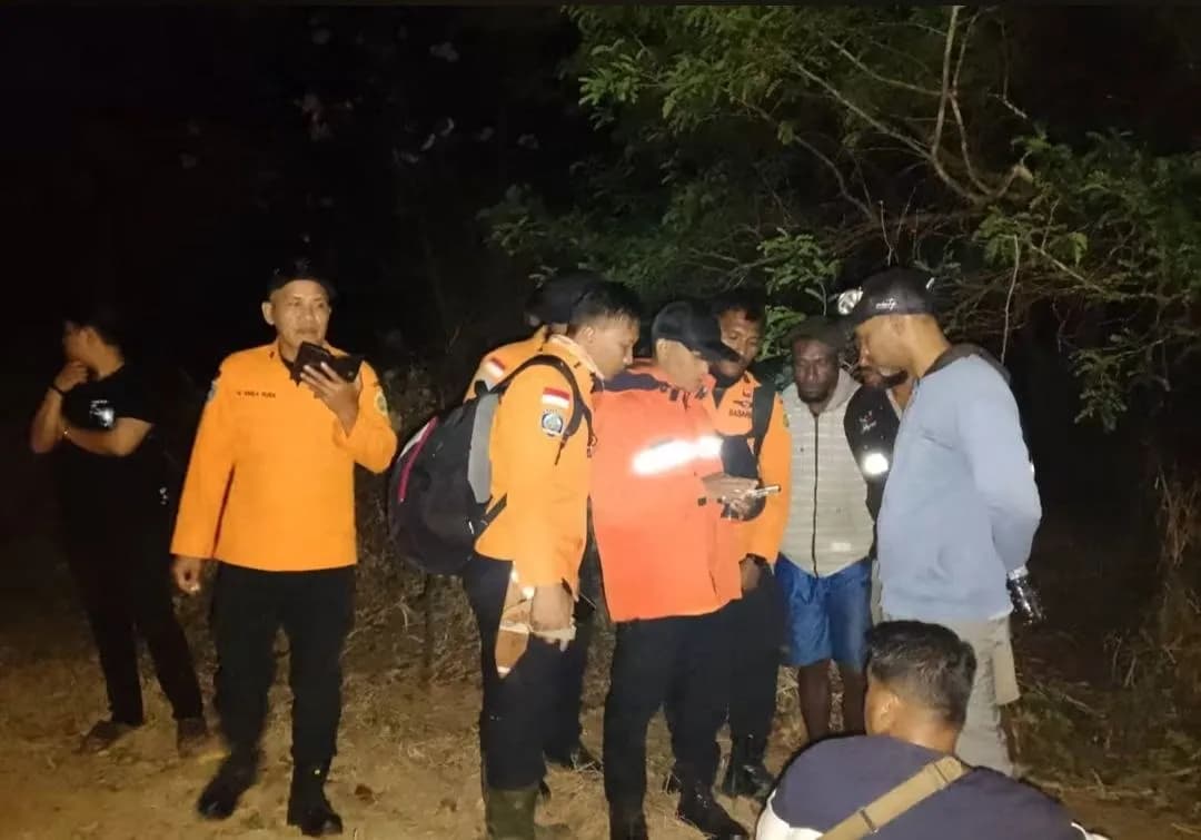 Ilustrasi berita Papua: Ayah dan Anak Hilang di Hutan Semangga 40 Merauke, Basarnas Terjunkan Tim Rescue