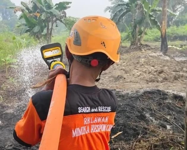 Ilustrasi berita Mimika: Armada Damkar dan Relawan MRC-BTB Berjibaku Padamkan Kebakaran Lahan di Jalur 10 SP 7 Mimika