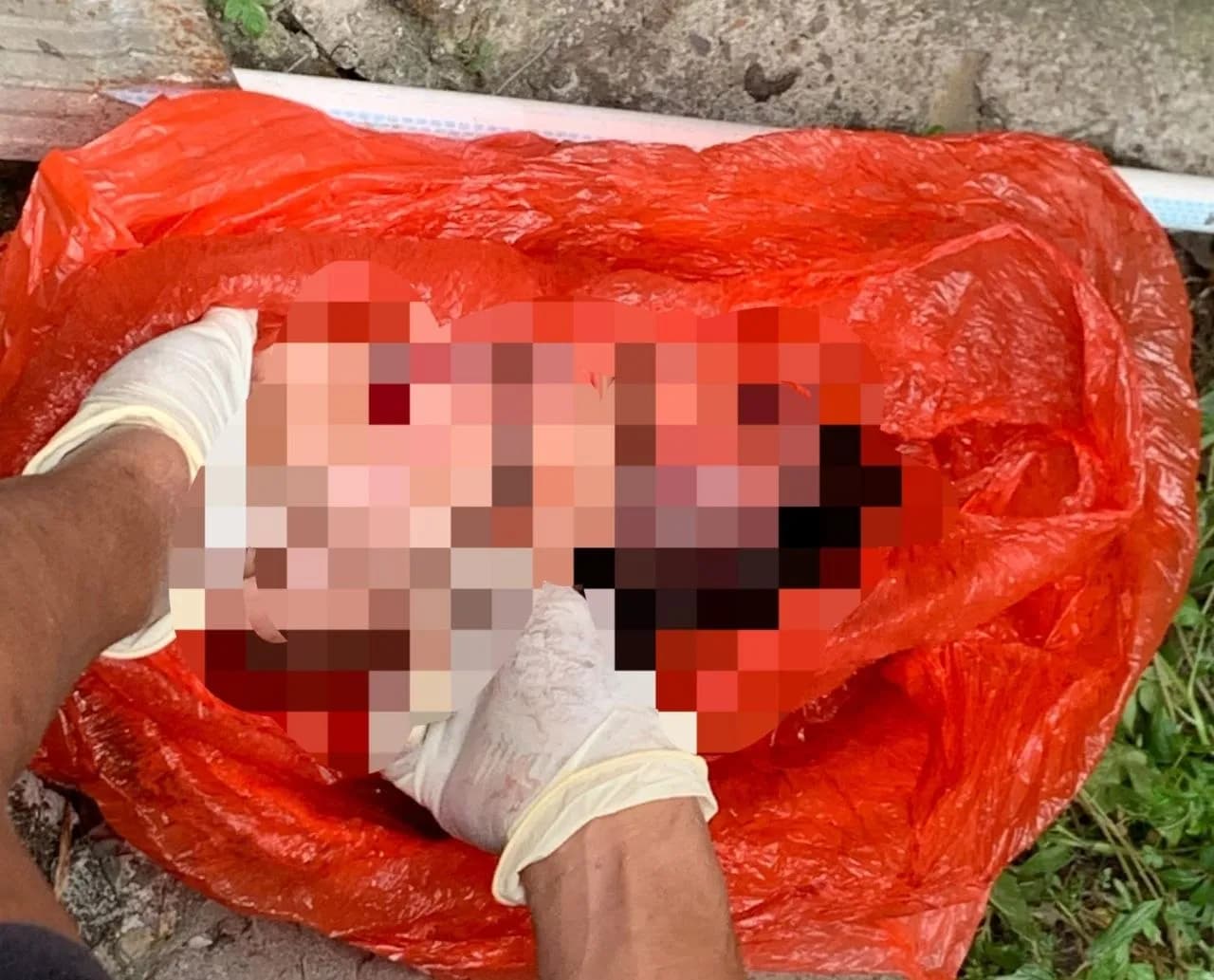 Ilustrasi berita Mimika: Warga Temukan Janin Laki-Laki dalam Kantong Plastik Merah di Jalan Megantara Timika, Curiga Pria Berhelm Hitam