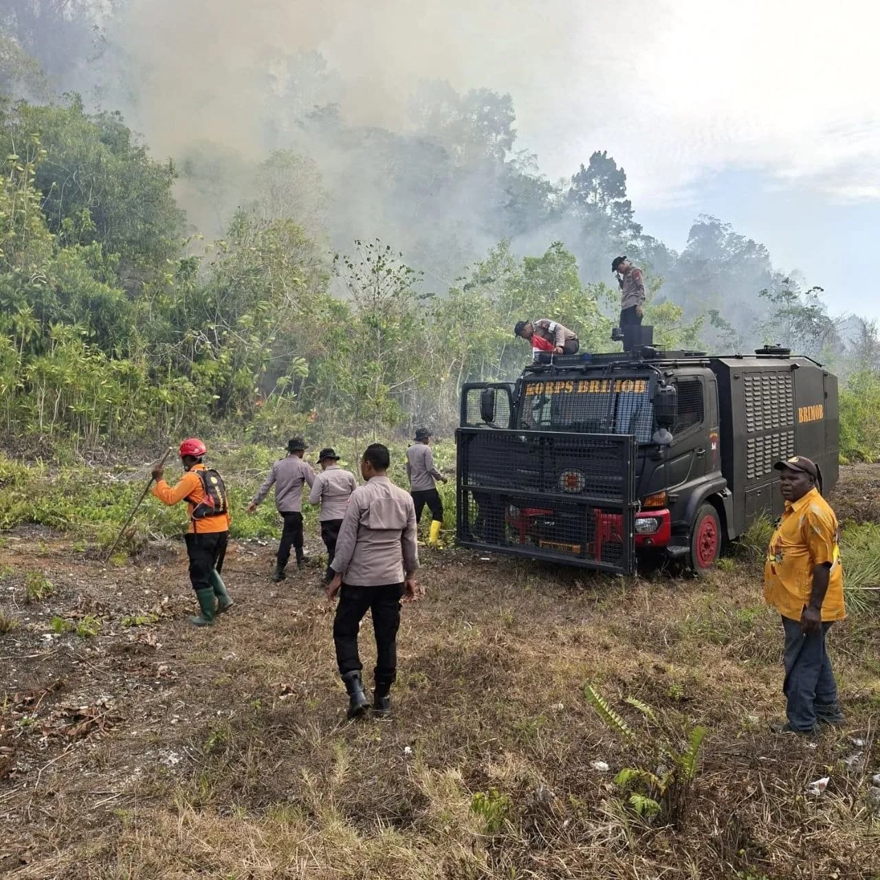 Ilustrasi berita Papua: Karhutla di Biak Numfor Ditangani, Polda Papua Imbau Warga Waspadai Potensi Kebakaran