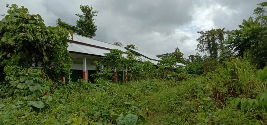 Pasar Mapurujaya