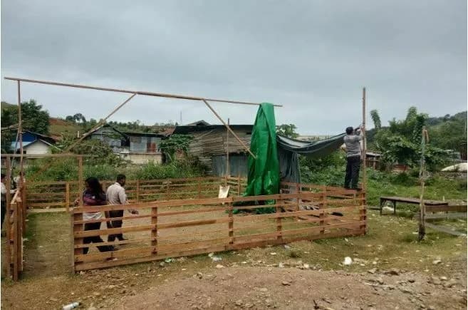 sabung ayam