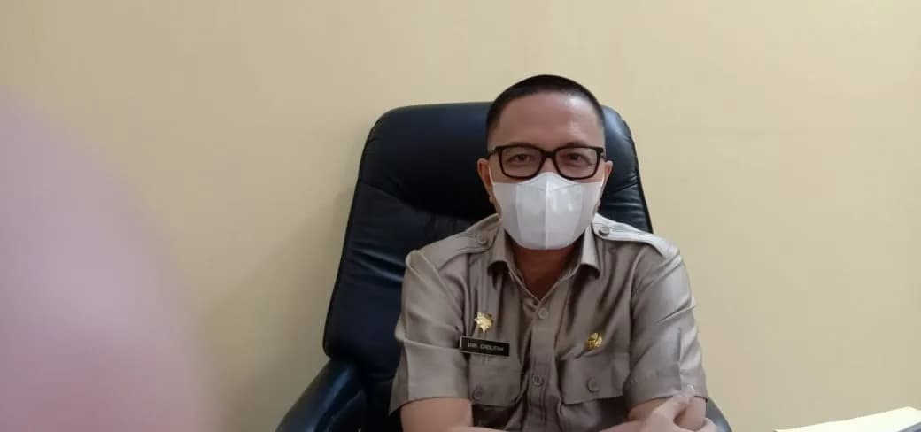 Dwi Cholifah