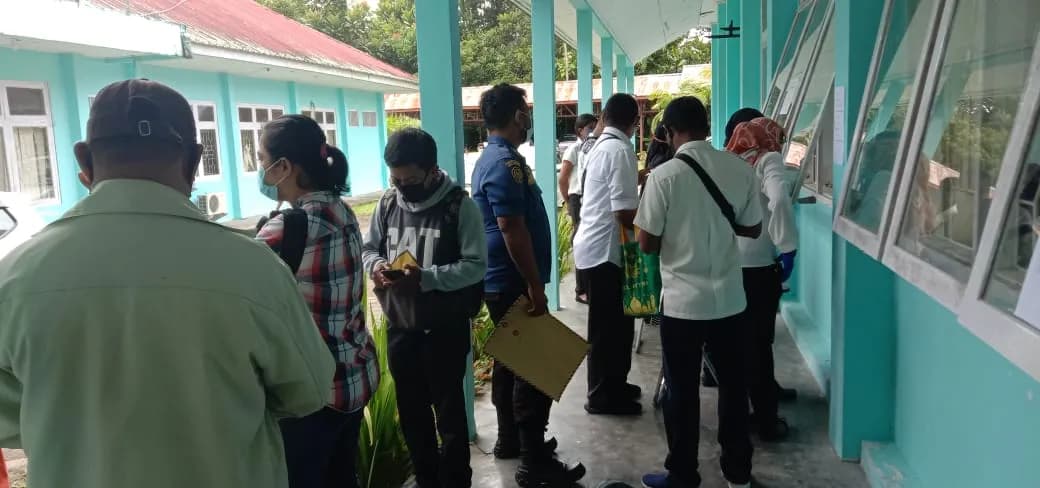 Pengumuman honorer Mimika lolos CPNS