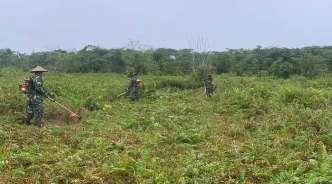 Ilustrasi berita Mimika: Program Pompanisasi Targetkan Buka 20 Hektar Lahan Persawahan di Kampung Limau Asri Barat, Distrik Iwaka