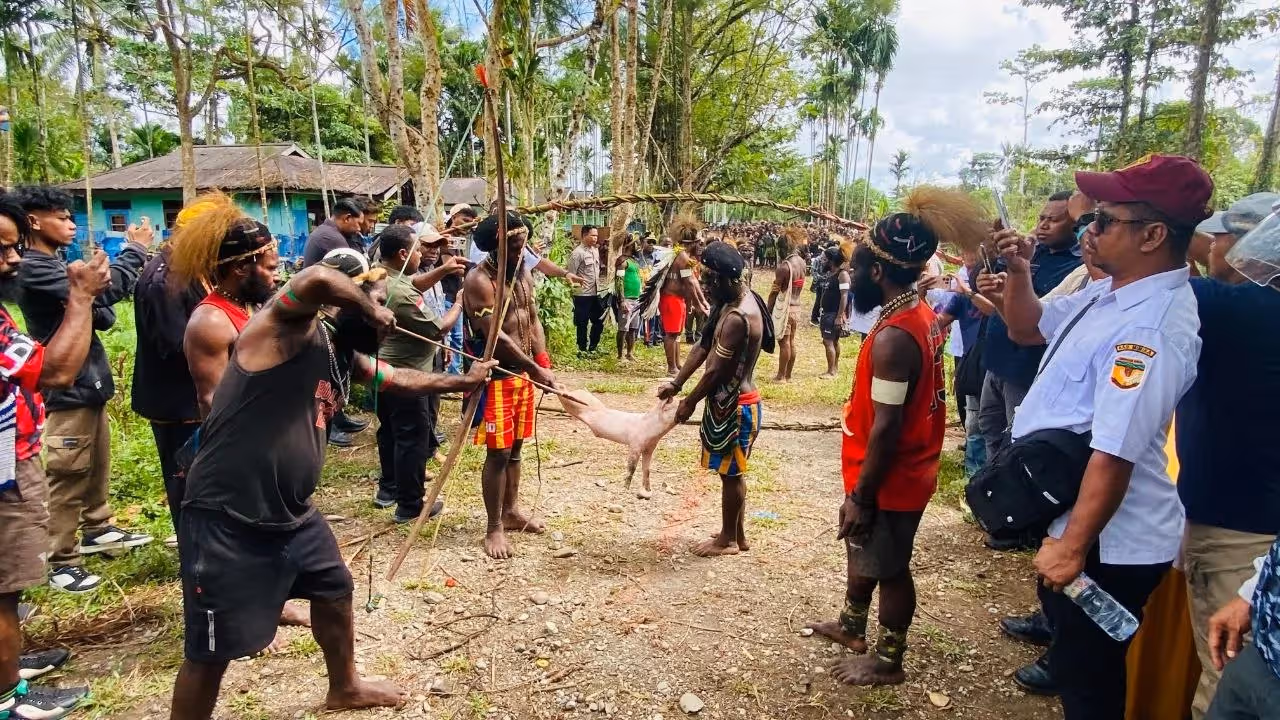 Prosesi adat panah babi menandai berakhirnya konflik keluarga di Distrik Kwamki Narama, Kabupaten Mimika, Rabu (24/6).