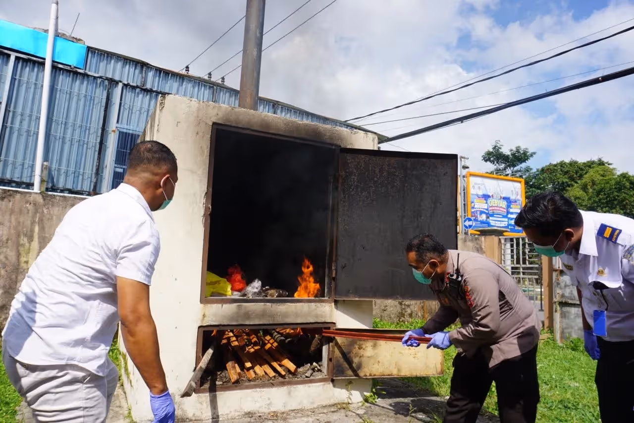 Petugas Karantina Papua Tengah saat memusnahkan 2 kilogram daging tikus tanah dan 4 kilogram daging babi.