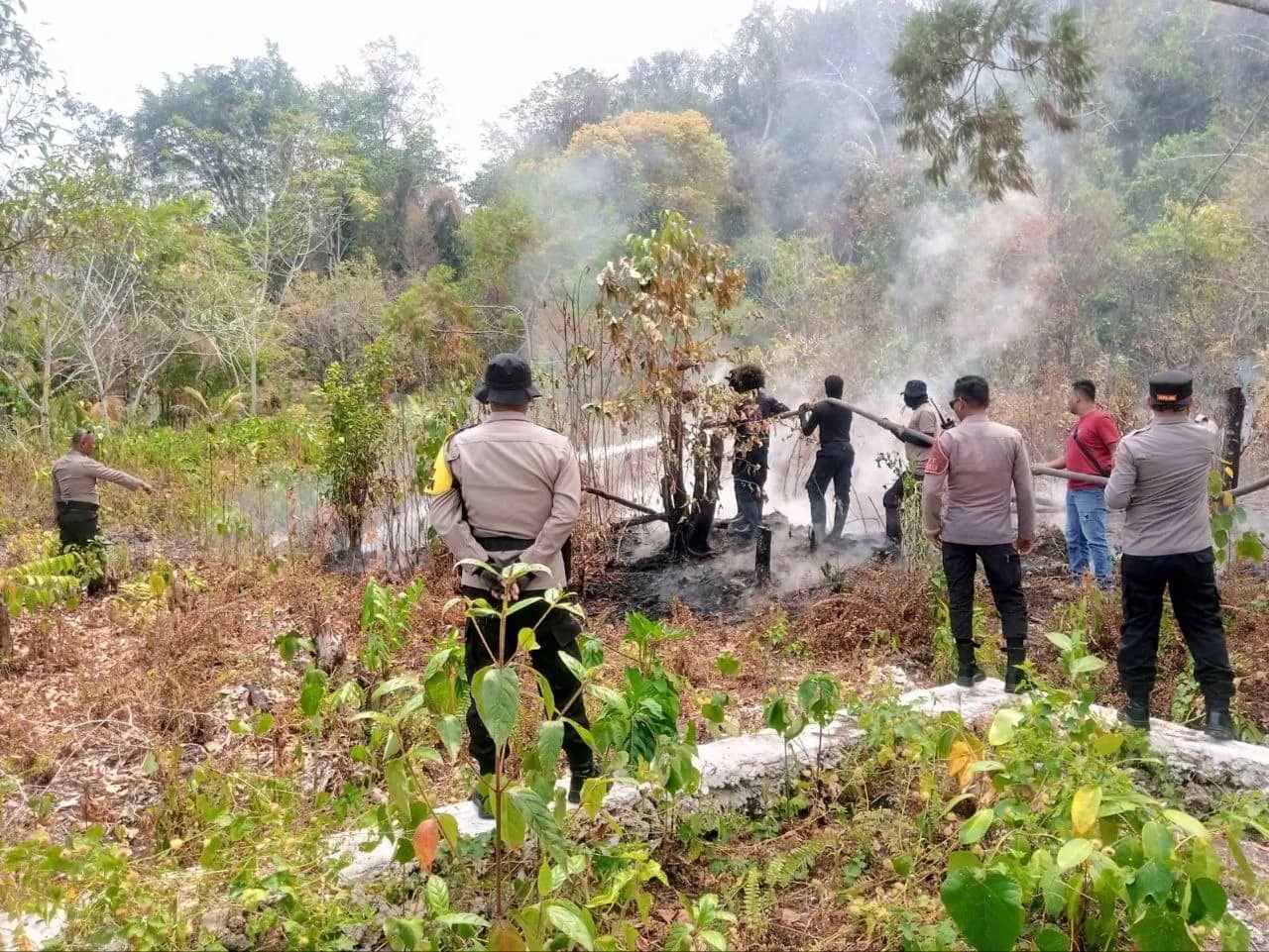 Ilustrasi berita Lingkungan: Polda Papua Perketat Pencegahan Karhutla, Pembakar Lahan Terancam Diproses Hukum