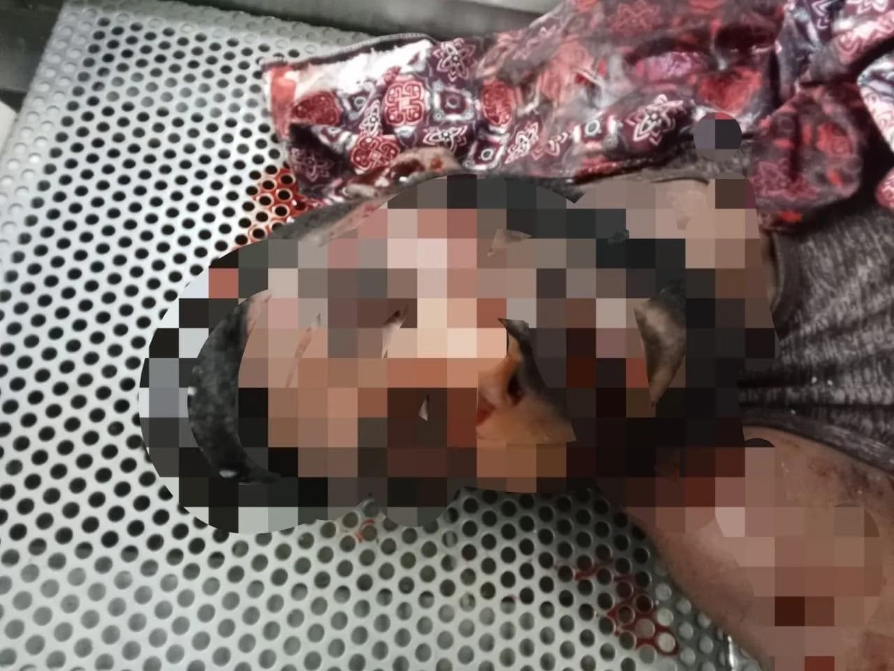Ilustrasi berita Mimika: Diduga Tabrak Lari, Seorang Pria Ditemukan Tewas Bersimbah Darah di Hiripau Timika, Jalan Dipalang