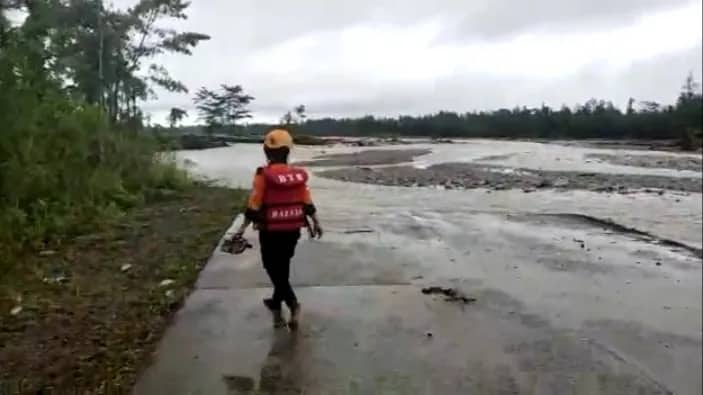 Ilustrasi berita Mimika: Proyek Sawit Hanya Tameng, PT PAL Sudah Habiskan 38.000 Hektare Lahan Kayu, Awiyuta: Kami Selalu Terima Banjir