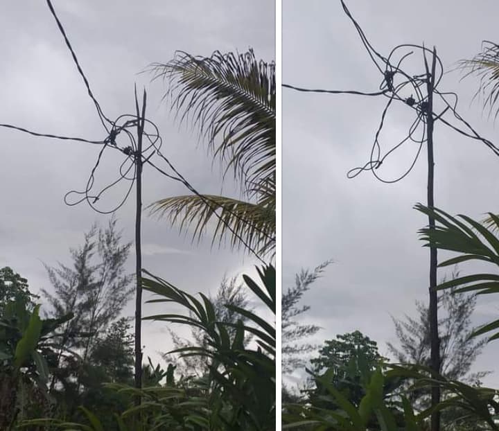 Ilustrasi berita MIMIKA: Warga Diminta Hati-hati, Ada Maut di Tiang Kayu Penyangga Kabel Listrik PLN di Landu Mekar Timika