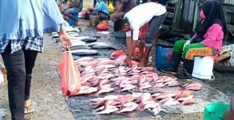 Ikan